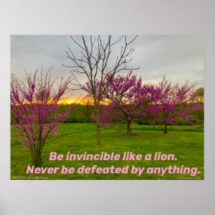 Poster Soyez Invincible Comme Un Lion.