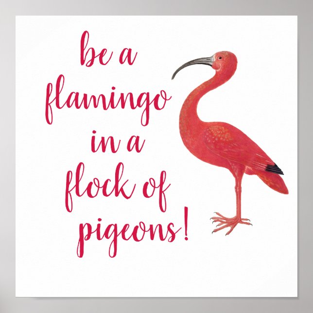 Poster Soyez un Flamant rose - Amusant, Citation inspiran (Devant)