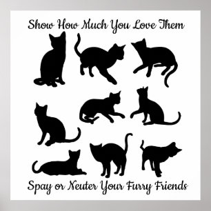 Poster Spay ou Neuter