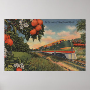 Poster Special orange de fleur de train
