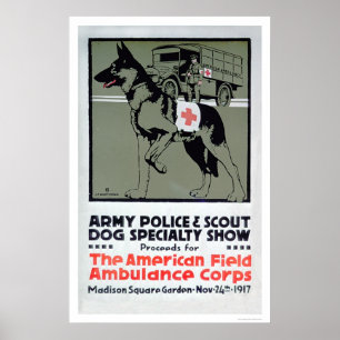 Poster Spectacle de spécialités du chien (US00277)