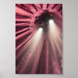 Poster Spectacles sous le haut