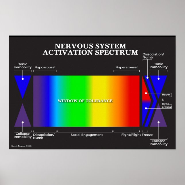 Poster Spectre d'activation du système nerveux (Devant)