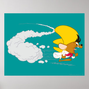 Poster SPEEDY GONZALES™ en couleur