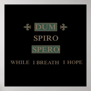 Poster sperme spiro
