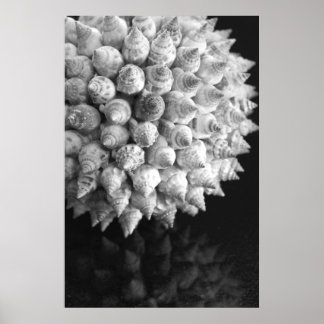 Poster Sphère Shell