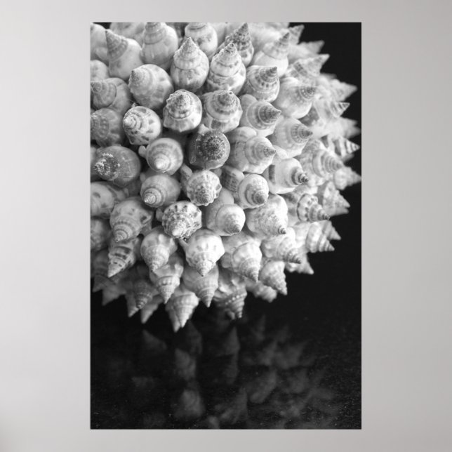 Poster Sphère Shell (Devant)