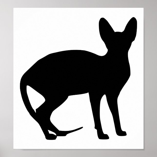 Poster Sphinx (Devant)