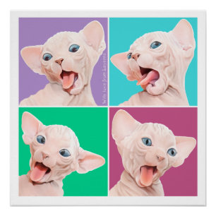 Poster Sphynx