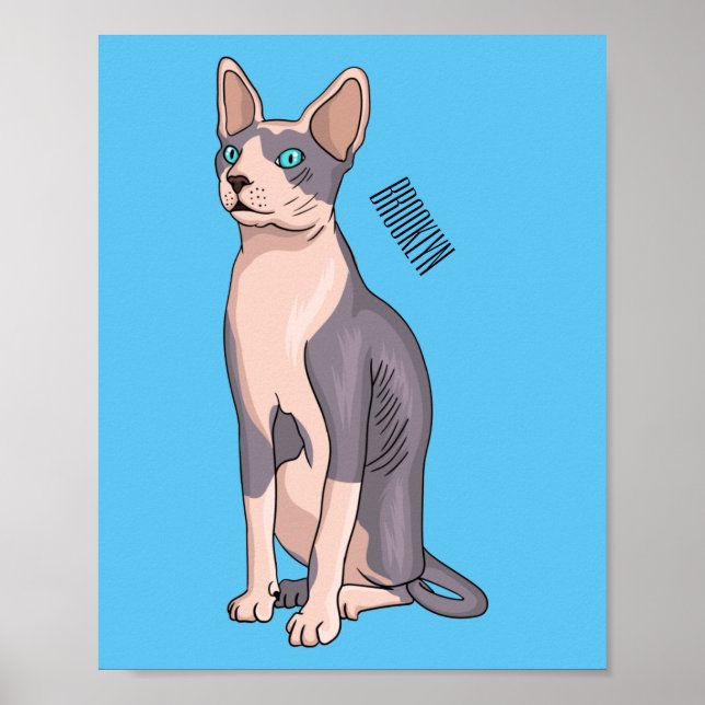 Poster Sphynx cat (Devant)