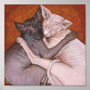 Poster Sphynx Sphinx Peinture de chats Art