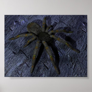 Poster Spider