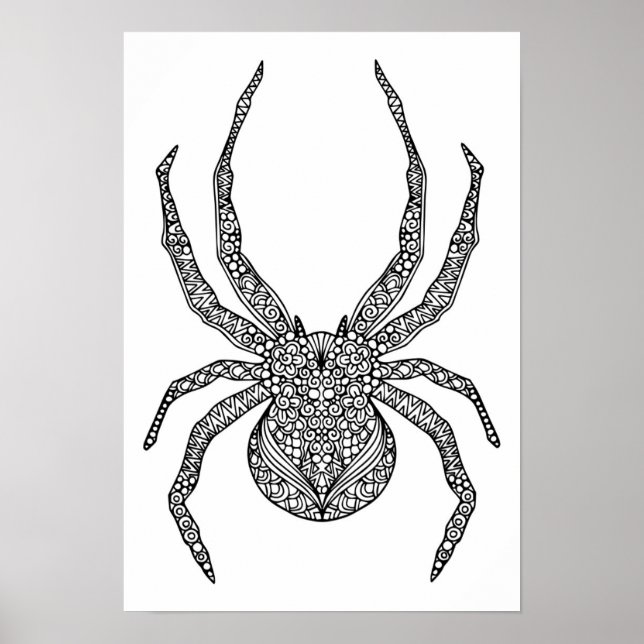 Poster Spider Doodle 2 (Devant)