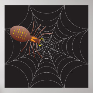 Poster Spider Et Spider Web