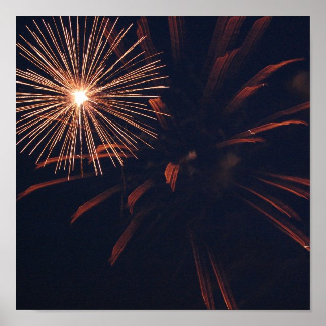 Poster Spider Firework (Devant)