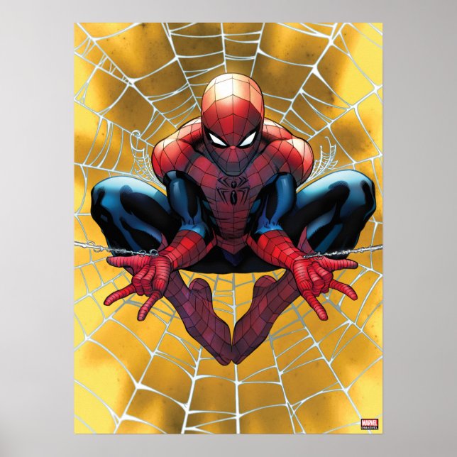 Poster Spider-Man | Assis Dans Un Web (Devant)