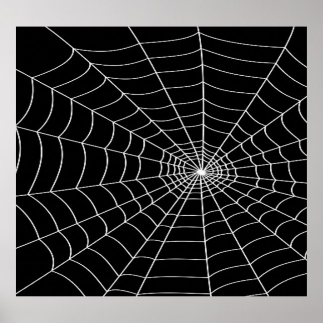 Poster Spider Web (Devant)