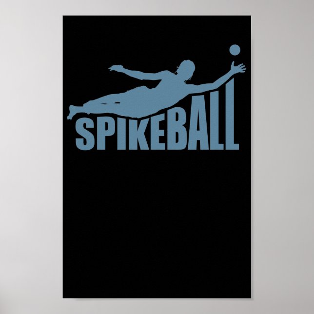 Poster Spikeball Ballsport Freizeit Roundball (Devant)