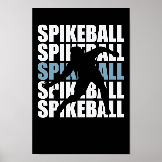 Poster Spikeball Roundball Sport Hobby Freizeit (Devant)