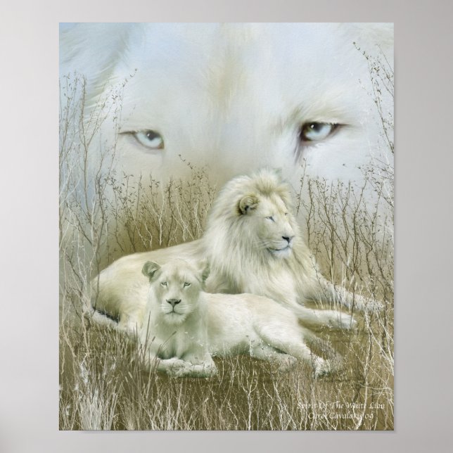 Poster Spirit Of The White Lions Art Poster/Imprimer (Devant)