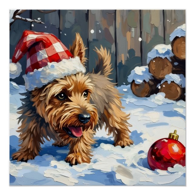 Poster Spirited Cairn Terrier Dog Digging for Christmas T (Devant)