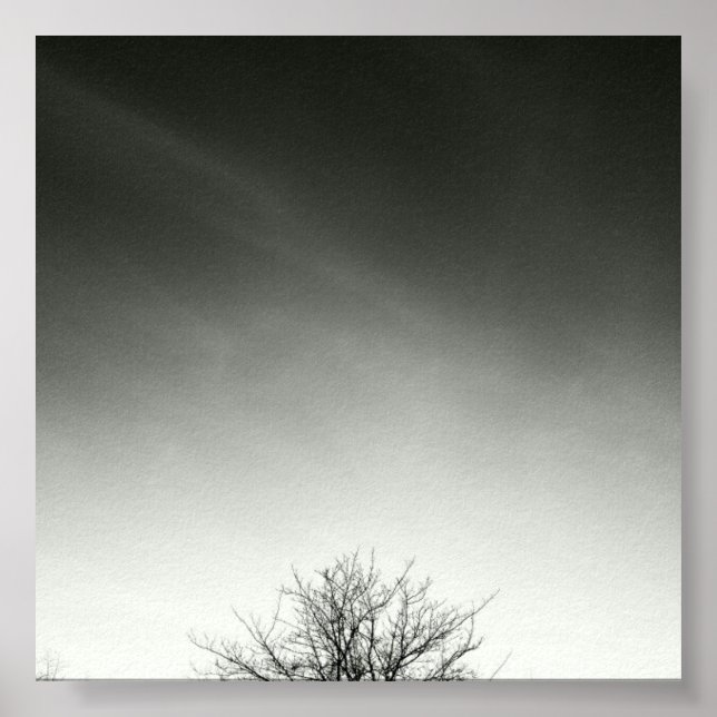 Poster Spiritu (Devant)