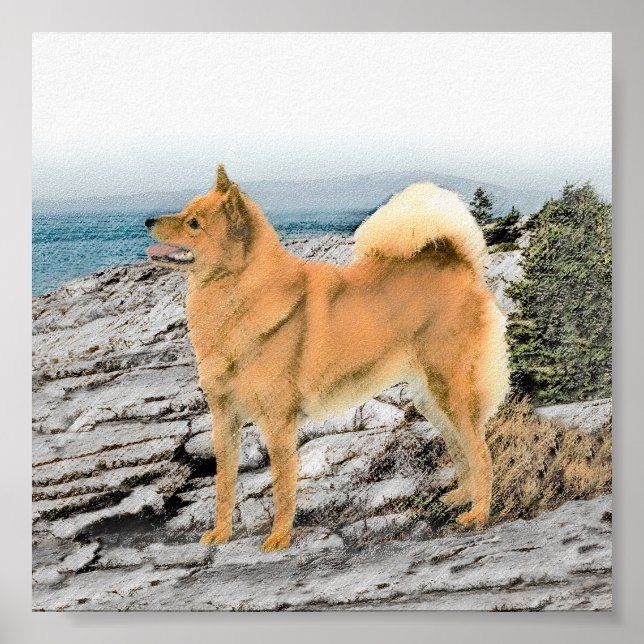 Poster Spitz finlandais à Seashore Peinture - Chien Art (Devant)