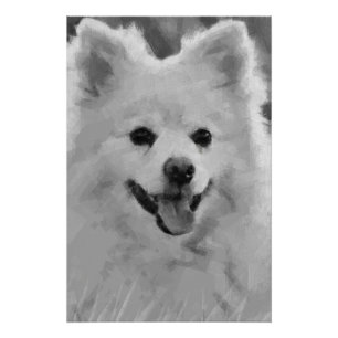 Poster Spitz japonais