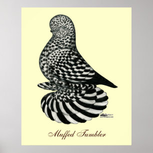 Poster Splash Muffed Tumbler