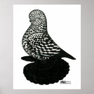 Poster Splash Muffed Tumbler2