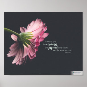 Poster Splendor (Ezéchiel 16:14)