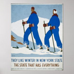 Poster Sport d'hiver vintage à New York