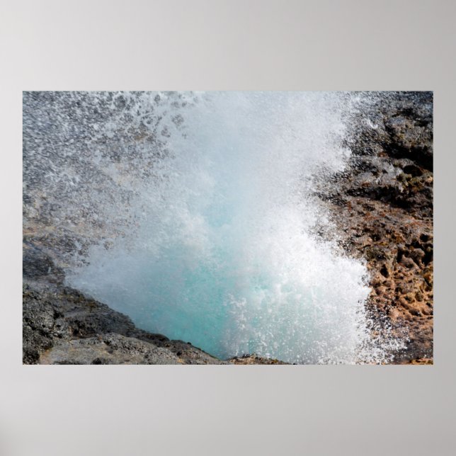 Poster Spouting Horn (Devant)