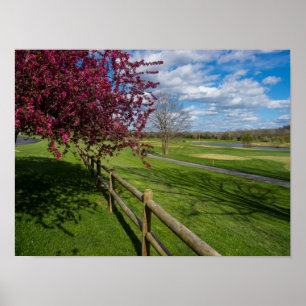 Poster Spring At Rivercut