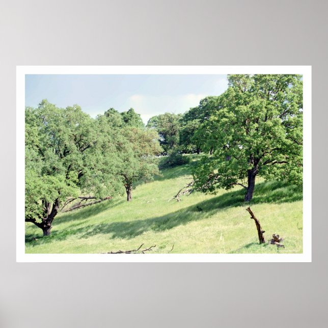 Poster Spring Hillside, San Jose (affiche) (Devant)