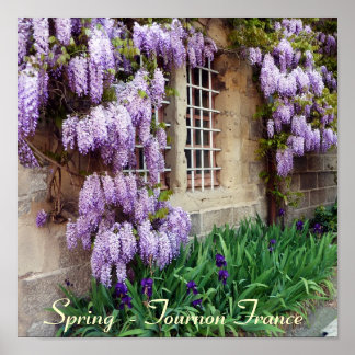 POSTER - Spring  - Tournon France