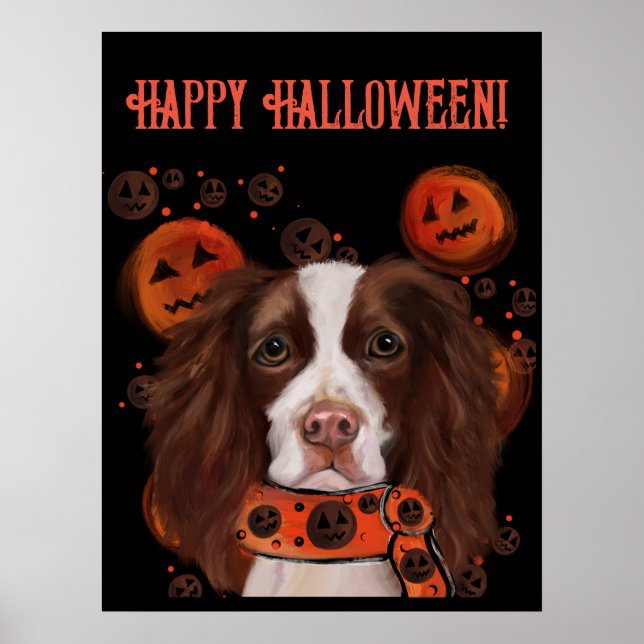 Poster Springer Spaniel Anglais       (Devant)