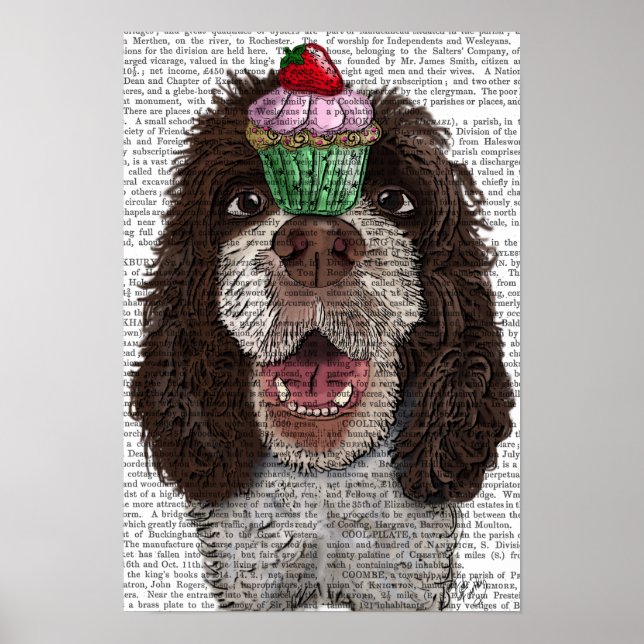 Poster Springer Spaniel avec Cupcake (Devant)