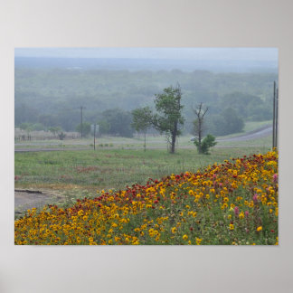 Poster Springtime in Texas