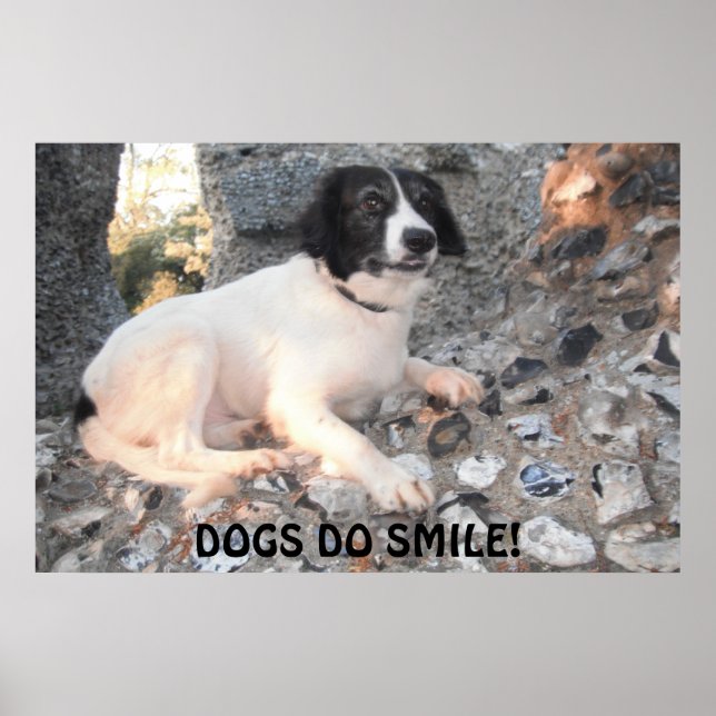 Poster Sprollie Visiting Castle Smiling (Front)