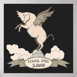 Poster Squad de Flying