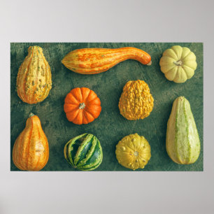 Poster Squash d'hiver