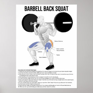 Poster Squat - Exercice - Muscle Anatomy Chart