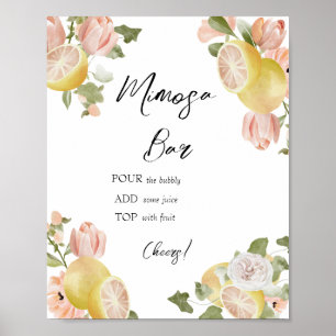 Poster Squeeze Agrumes Bar Mimosa Floral Rose