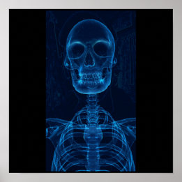 Poster squelette bleu