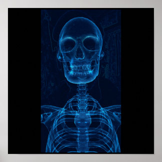 Poster squelette bleu