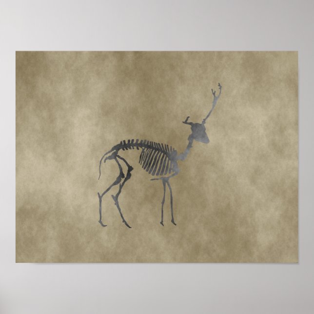 Poster squelette de cerf (Devant)