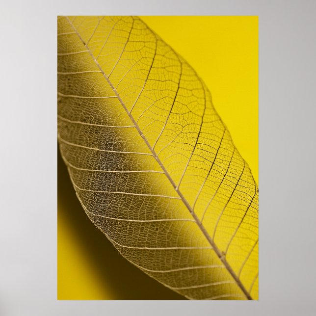 Poster Squelette Feuille jaune (Devant)