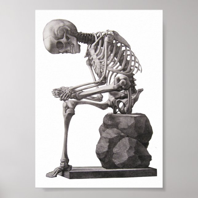 Poster Squelette humain assis Anatomie science Art (Devant)