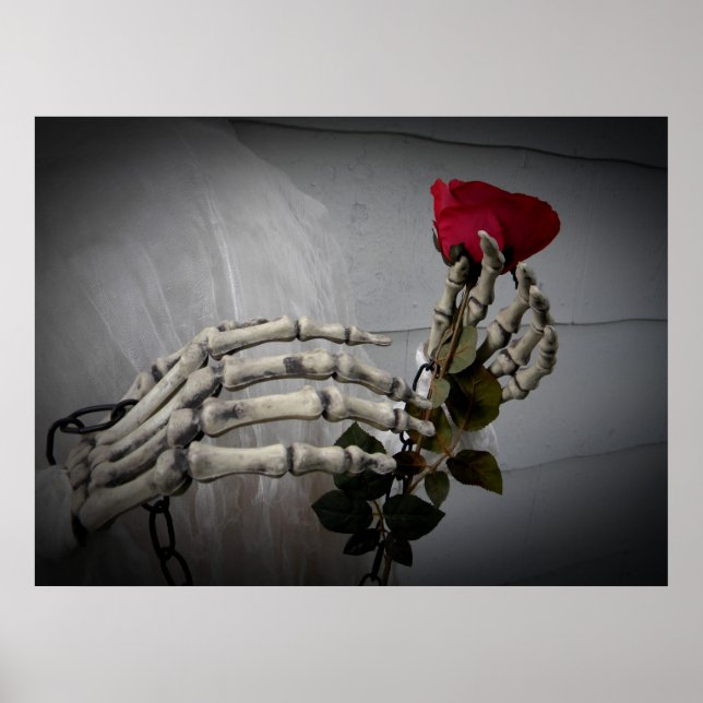Poster Squelette romantique avec rose (Devant)